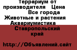 Террариум от производителя › Цена ­ 8 800 - Все города Животные и растения » Аквариумистика   . Ставропольский край